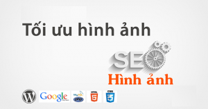 hinh seo